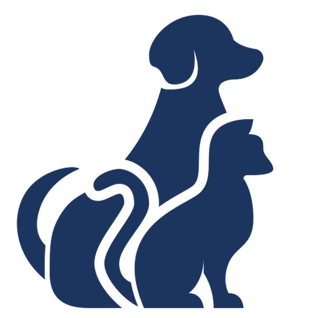 consultation vétérinaire à marseille