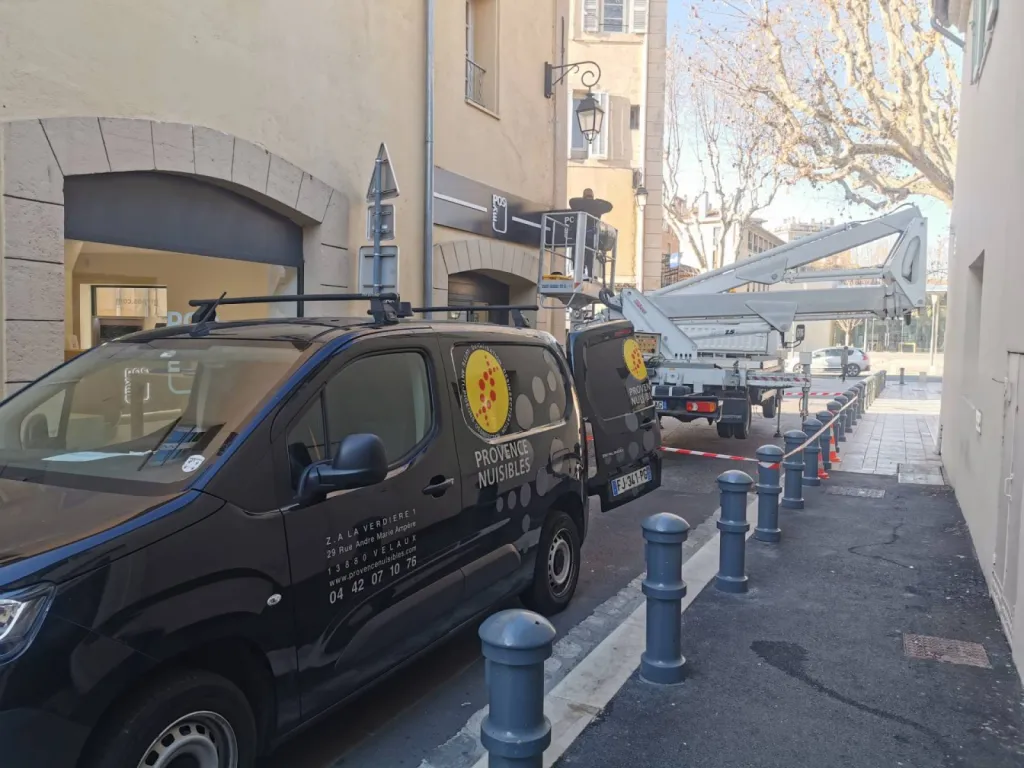 nettoyage pigeon aix en provence 13100
