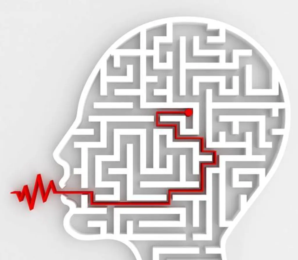 anglais santé cerveau