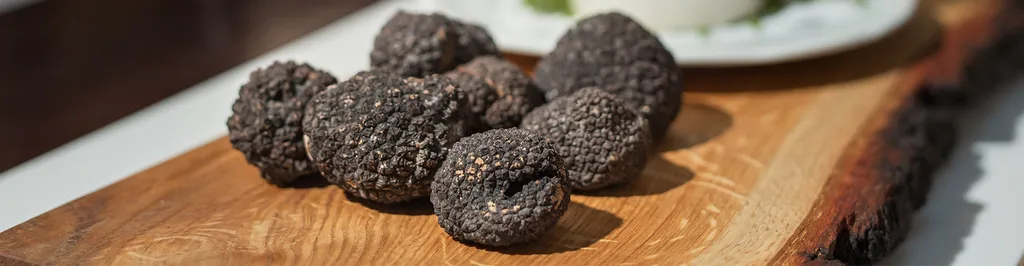 Dégustation de truffe, traiteur premium et chef à domicile à Lyon