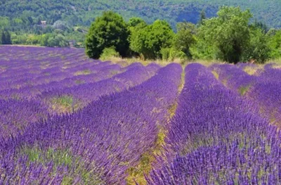 SECTEUR D'ACTIVITE DU COMMISSAIRE AUX COMPTES A AIX EN PROVENCE