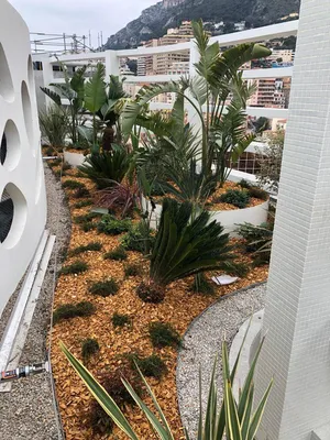 Aménagements Paysagers - Palais HONORIA