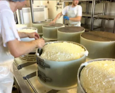 Fournisseur de fromages  pour industriels à Strasbourg