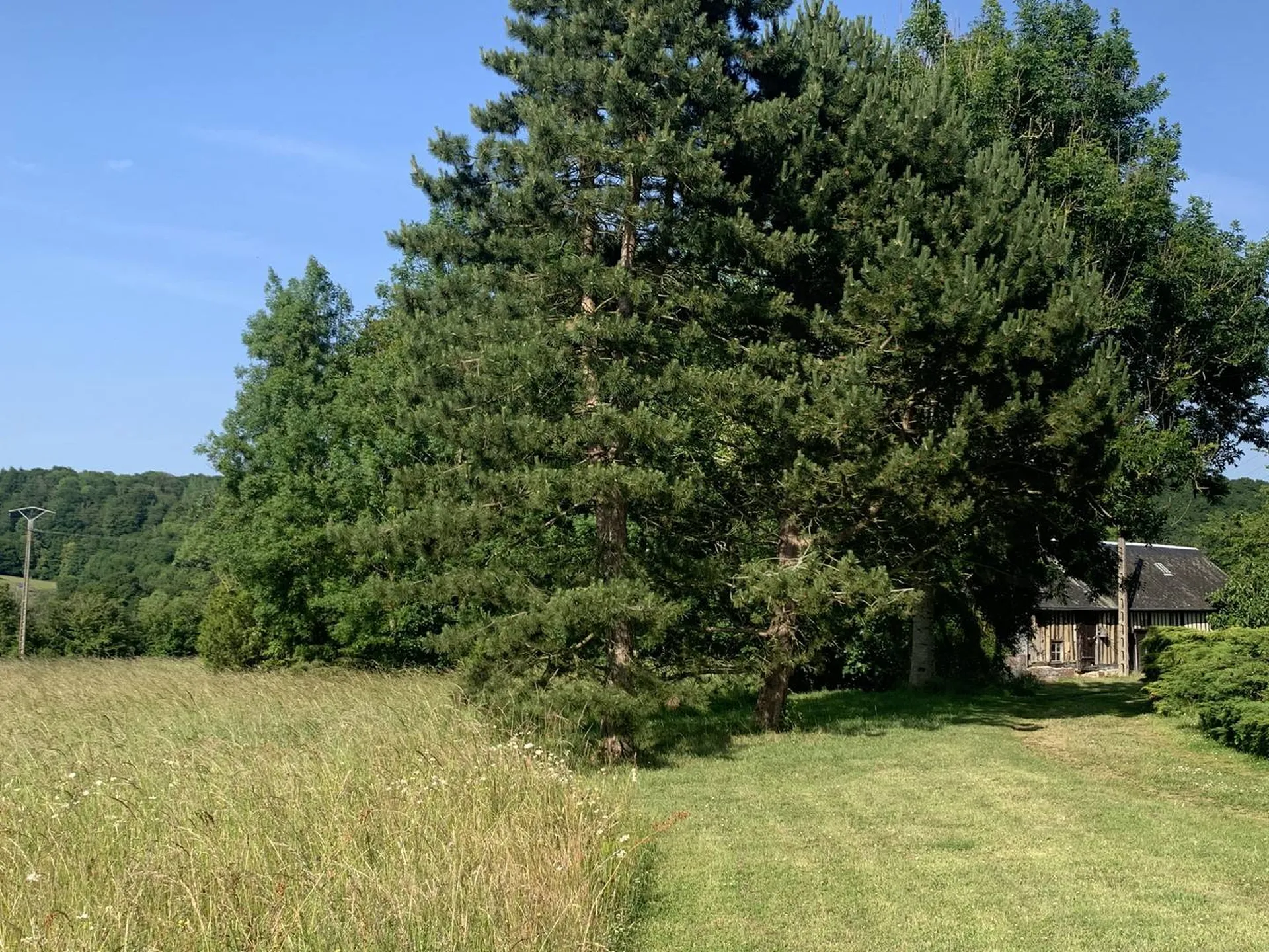 VENTE - PAYS D'AUGE DU CALVADOS Au sud de LISIEUX 14100 : Corps de ferme normand avec 9 ha 50 a de terrain