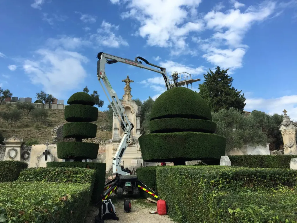 Notre zone d'activité pour ce serviceTravaux de plantation des arbres et arbustes au meilleur prix à