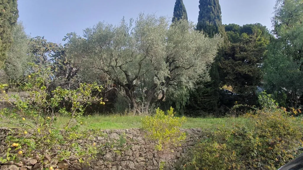 Terrain à bâtir dans le Var