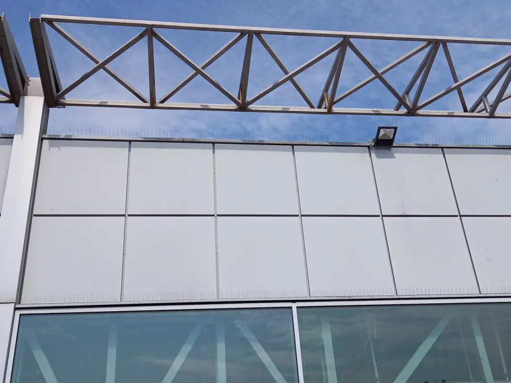piques pigeons provence nuisibles partenaire carrefour
