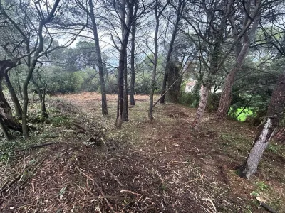 Terrain débroussaillé dans le Gard, par une entreprise de paysagiste d'Avignon