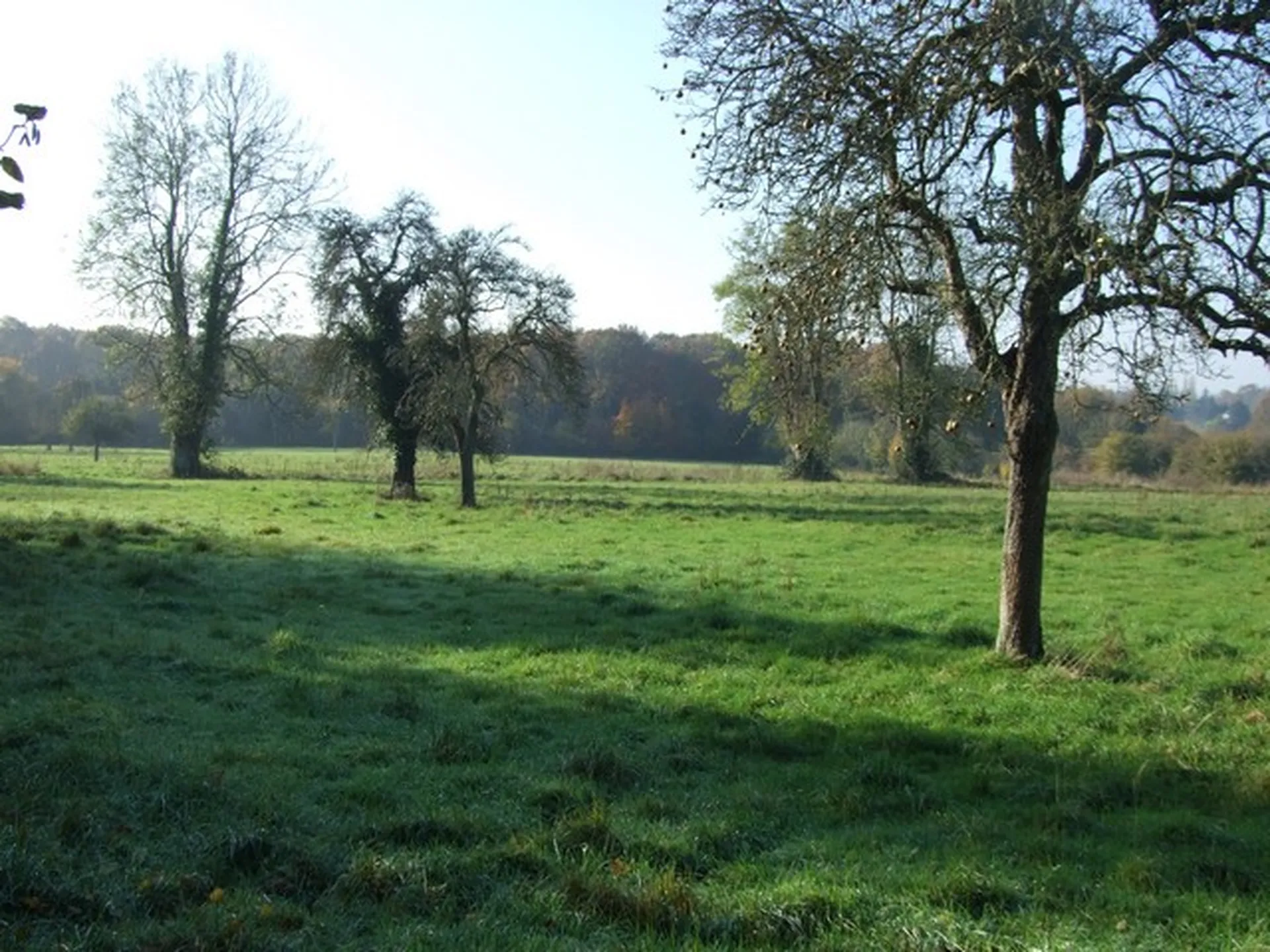 PROPRIETE EQUESTRE OU HERBAGERE Entre PONT L'EVEQUE ET LISIEUX