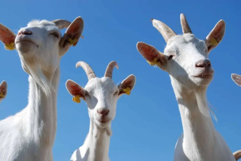 Nos prestations sur le secteur deNantes et Loire-Atlantique (44)