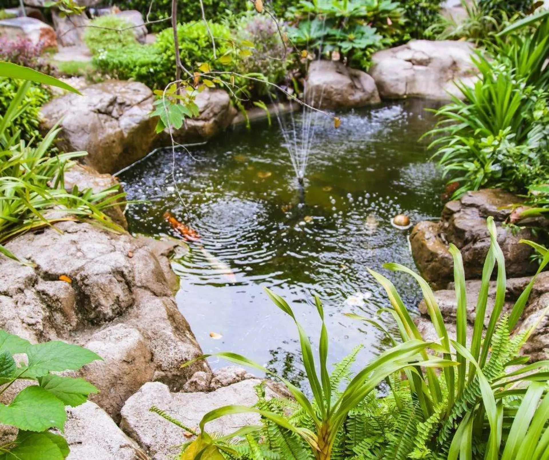 FAITES ENTRETENIR VOTRE BASSIN DE JARDIN PAR LES PAYSAGES D'ANTOINE