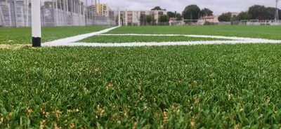 Project manager sport ground football