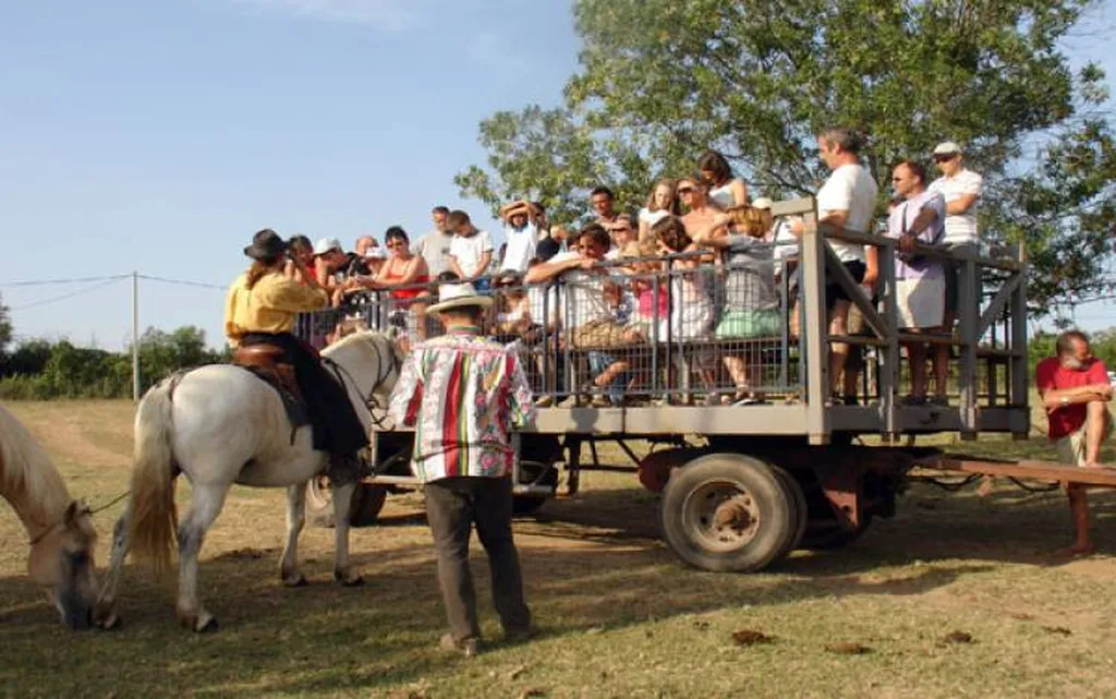 le mas de la plage vias