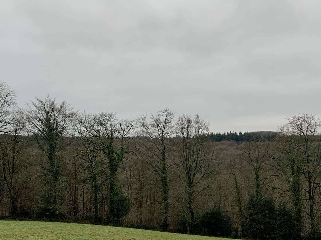 Région SOURDEVAL (MANCHE) Parcelles d'herbage et bois taillis sur 9 HA 10 A