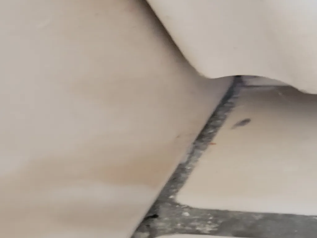 Désinsectisation des punaises de lit à la vapeur sèche à Lyon et sa région