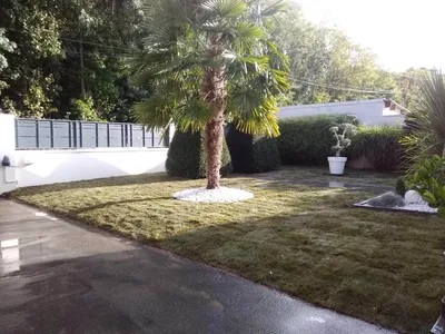 Pose de gazon en plaques à Melun : un résultat immédiat et durable