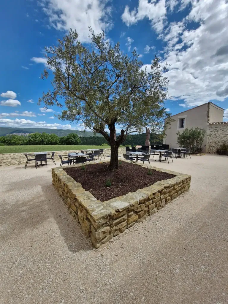 Découvrez notre galerie photos