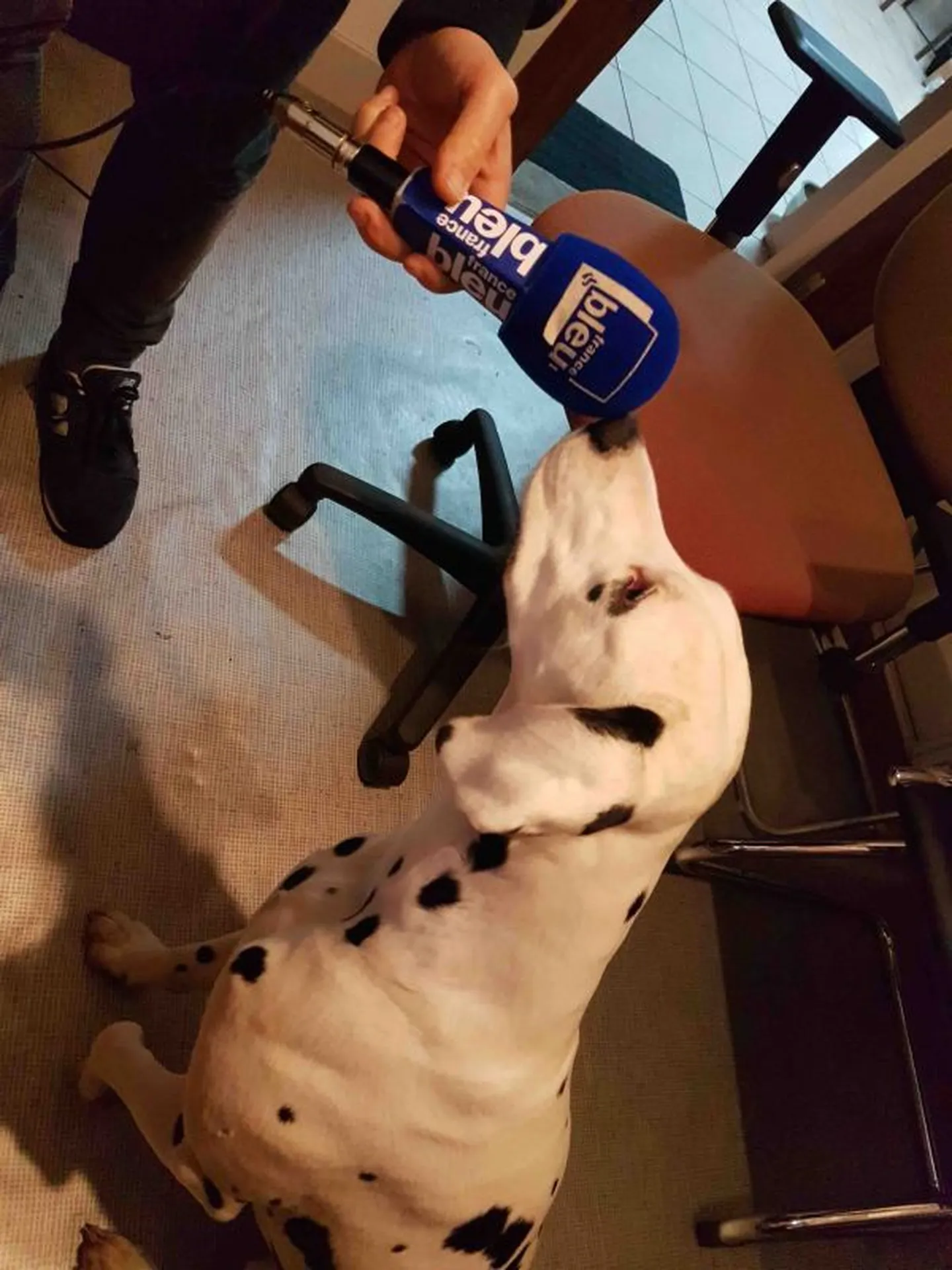 interview france bleu gironde