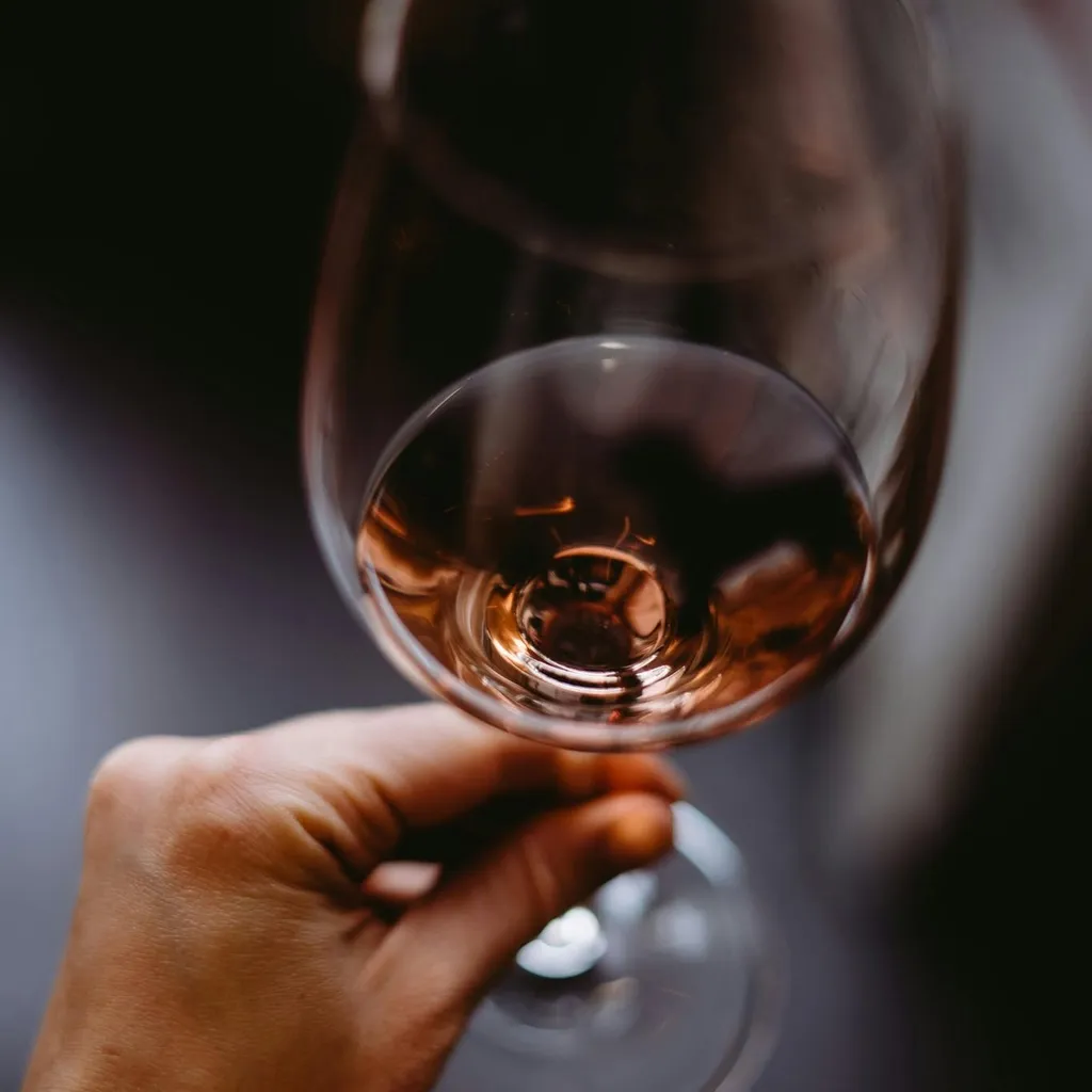 Comment choisir le vin parfait pour vos repas à Plan de Campagne et ses alentours ?