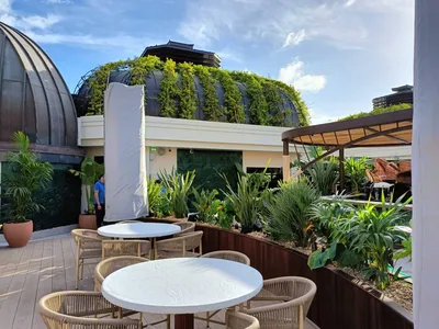 Amazonico - Plantes exotiques