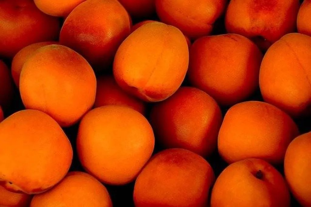Livraisons d'Abricots de production 100% locale en point relais à Marseille
