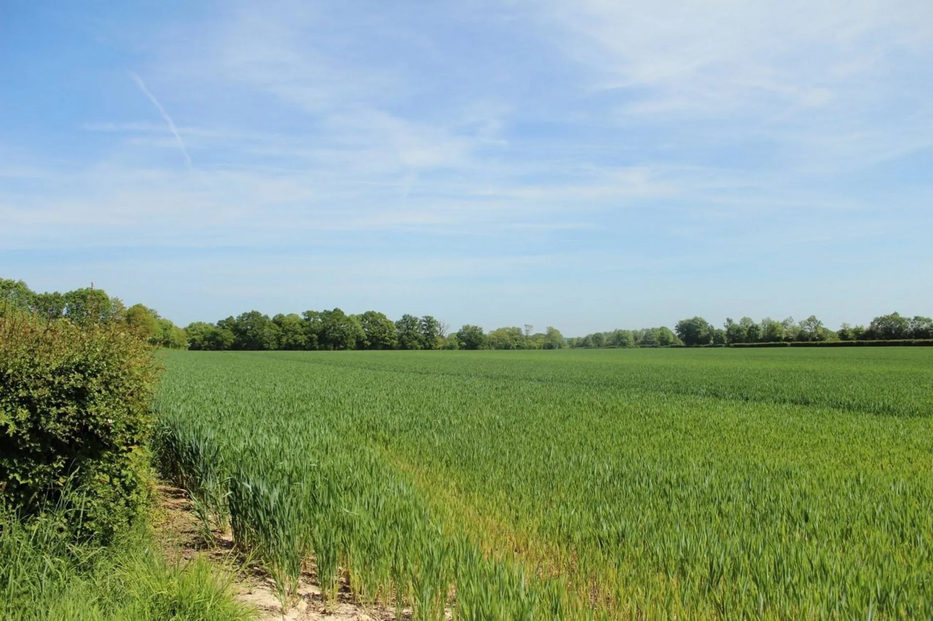 Vous rechercher un emsemble immonilier comprenant des herbages et du labour à 50 minutes de Deauville.