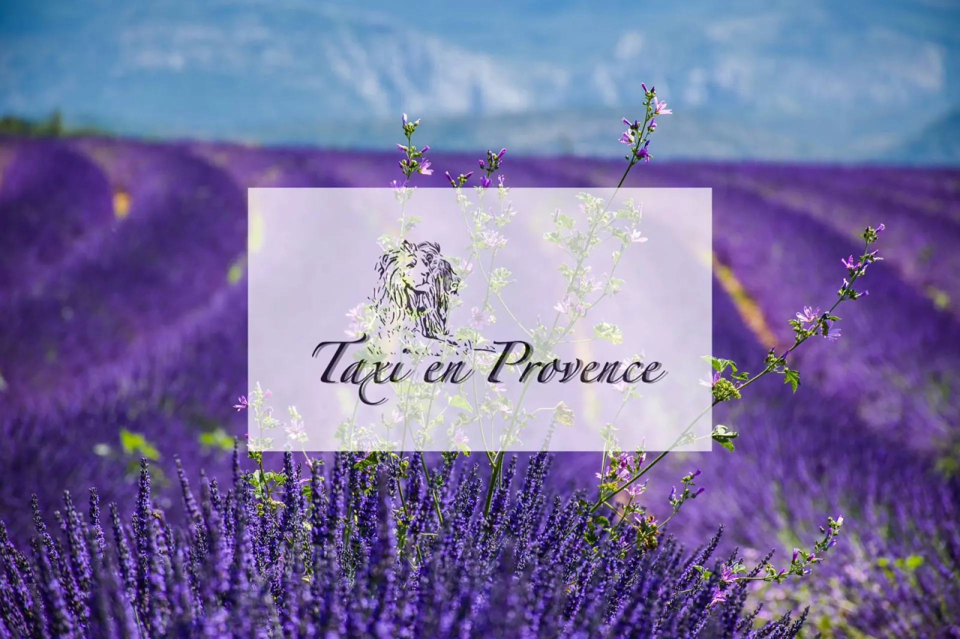 Taxi navette pour transfert mariage Aix en Provence