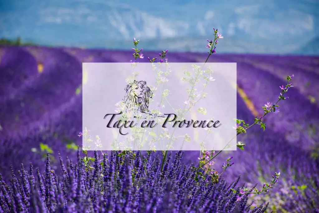 Taxi navette pour transfert mariage Aix en Provence