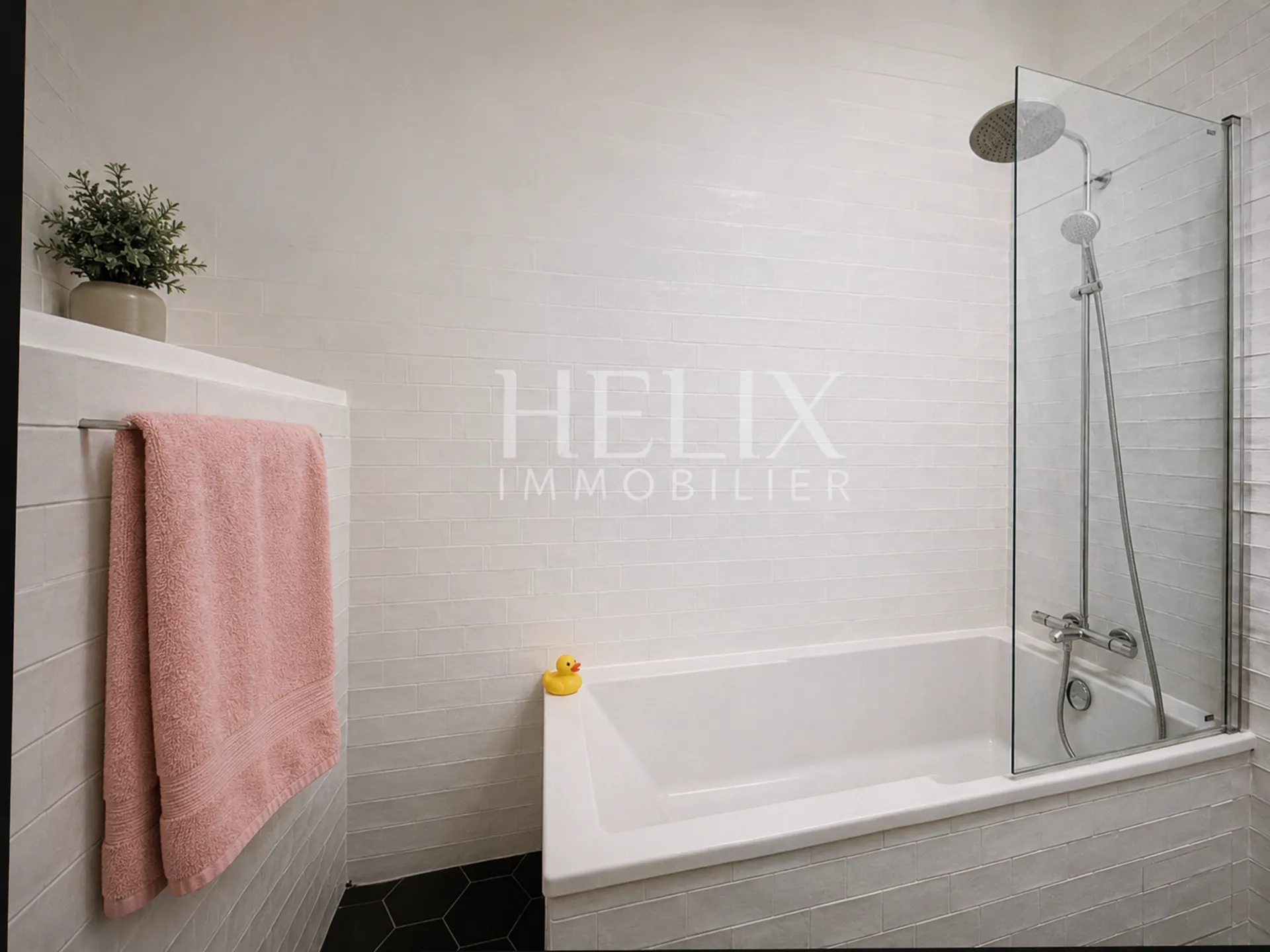 salle de bains helix immobilier 