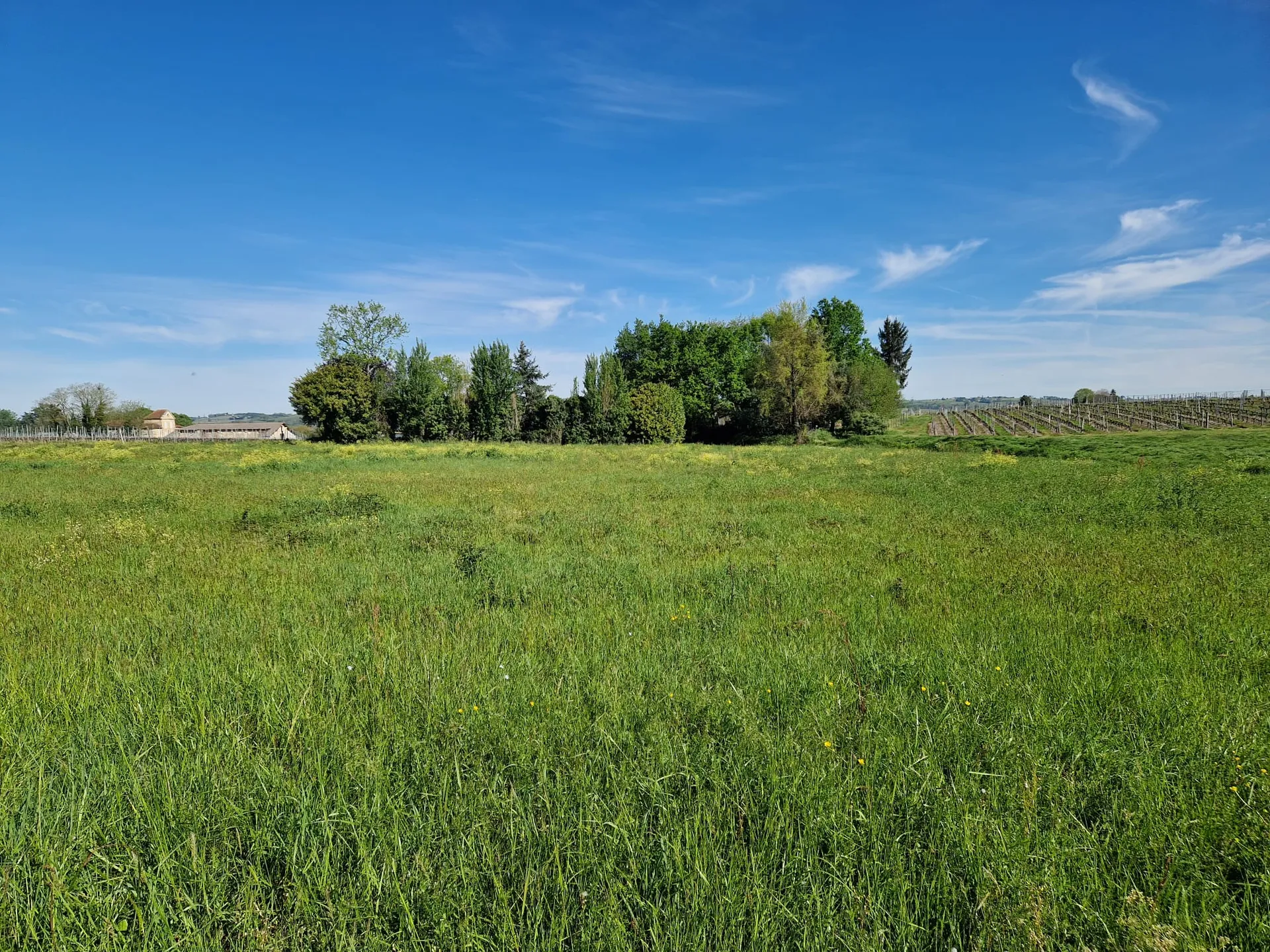 Terrain à bâtir de 1024 m² situé sur la commune de Saint Pierre de Mons, proche de Langon