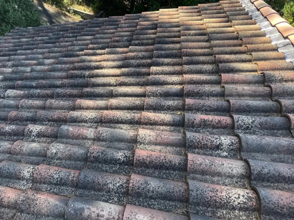 Nettoyage de toiture à Bouc-Bel-Air 13320