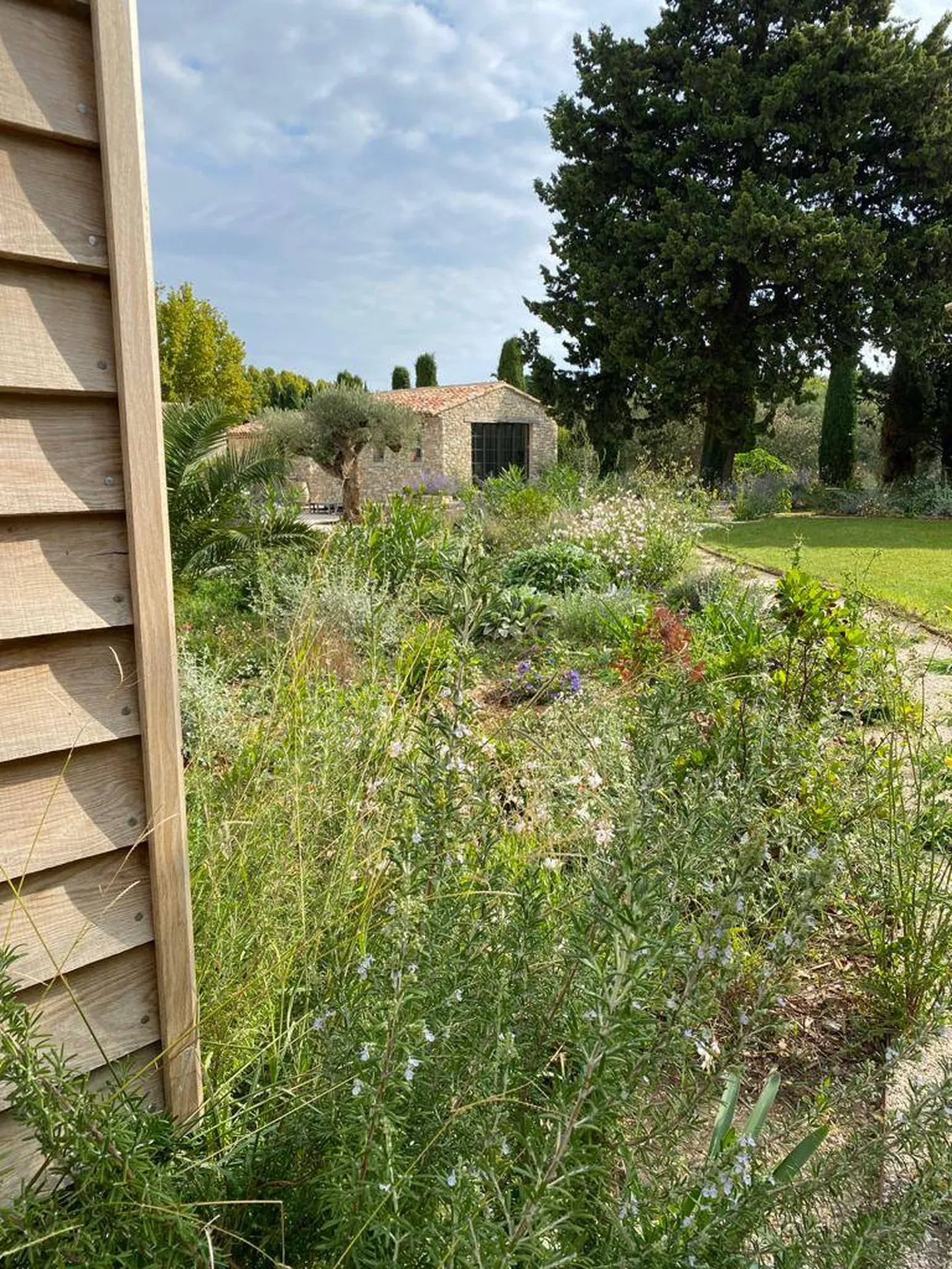 Jardinier pro pour l'entretien de jardin à Saint-Rémy-de-Provence 13210, dans les Alpilles, avec Carré Vert