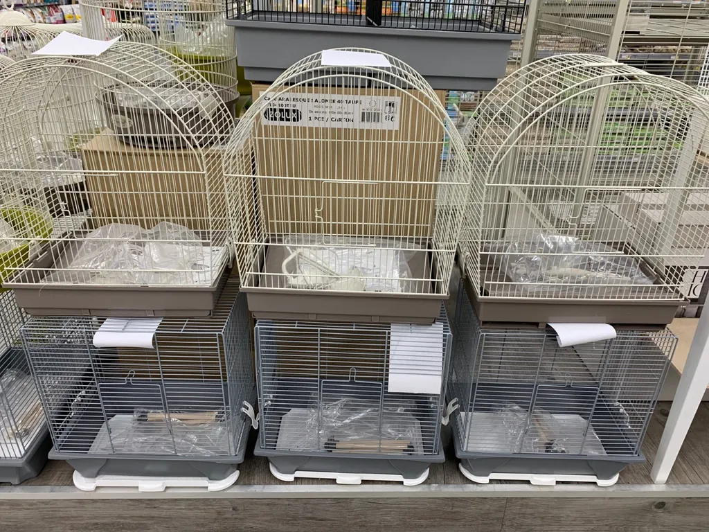 Vente de cages à oiseaux et de cages pour rongeurs