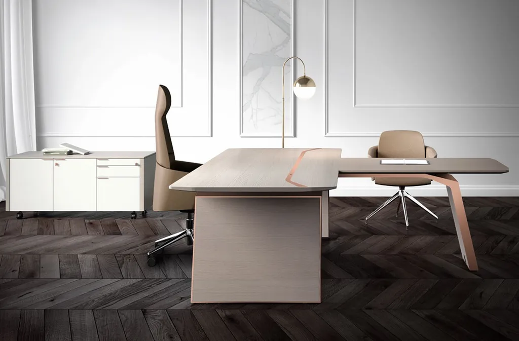 Achat d'un ensemble de direction avec fauteuil direction ergonomique à MARSEILLE