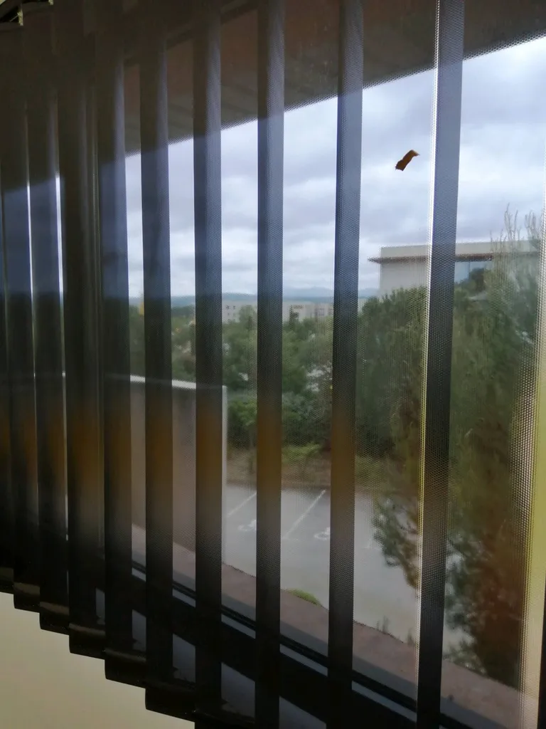 Store films californien et enrouleurs matière films solaire anti chaleurs et occultants Toulon. 83000