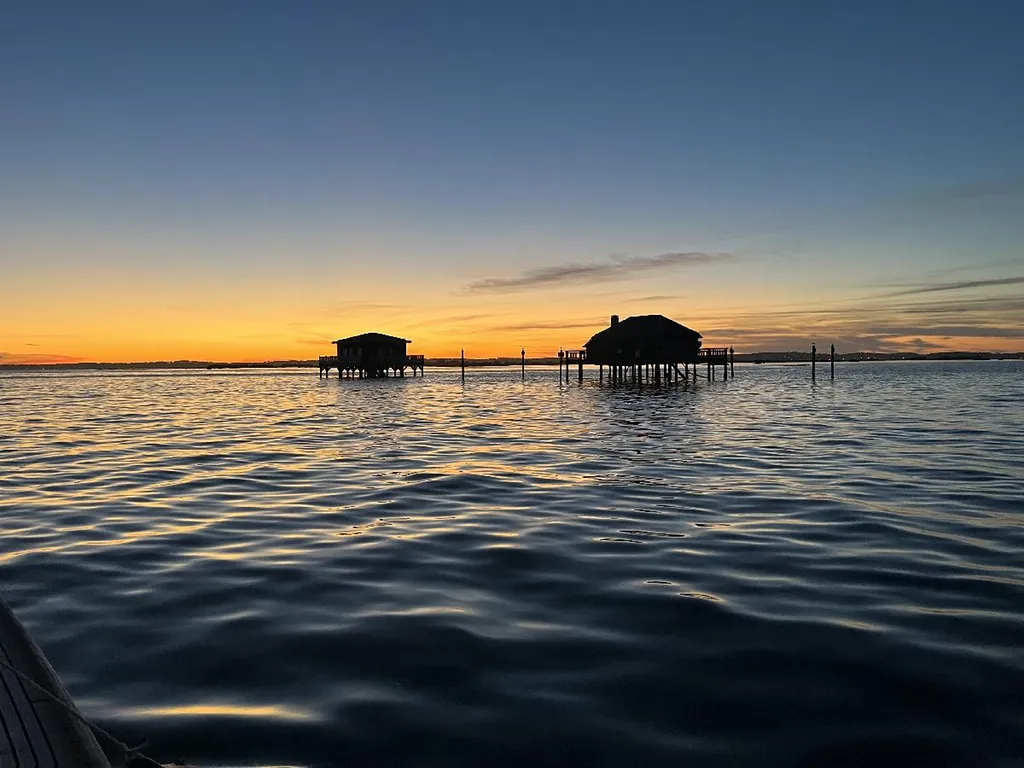 Savourez un apéritif dînatoire face aux cabanes tchanquées de l'île aux oiseaux pour un moment inoubliable.