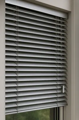 Store vénitien (lames aluminium ou bois)