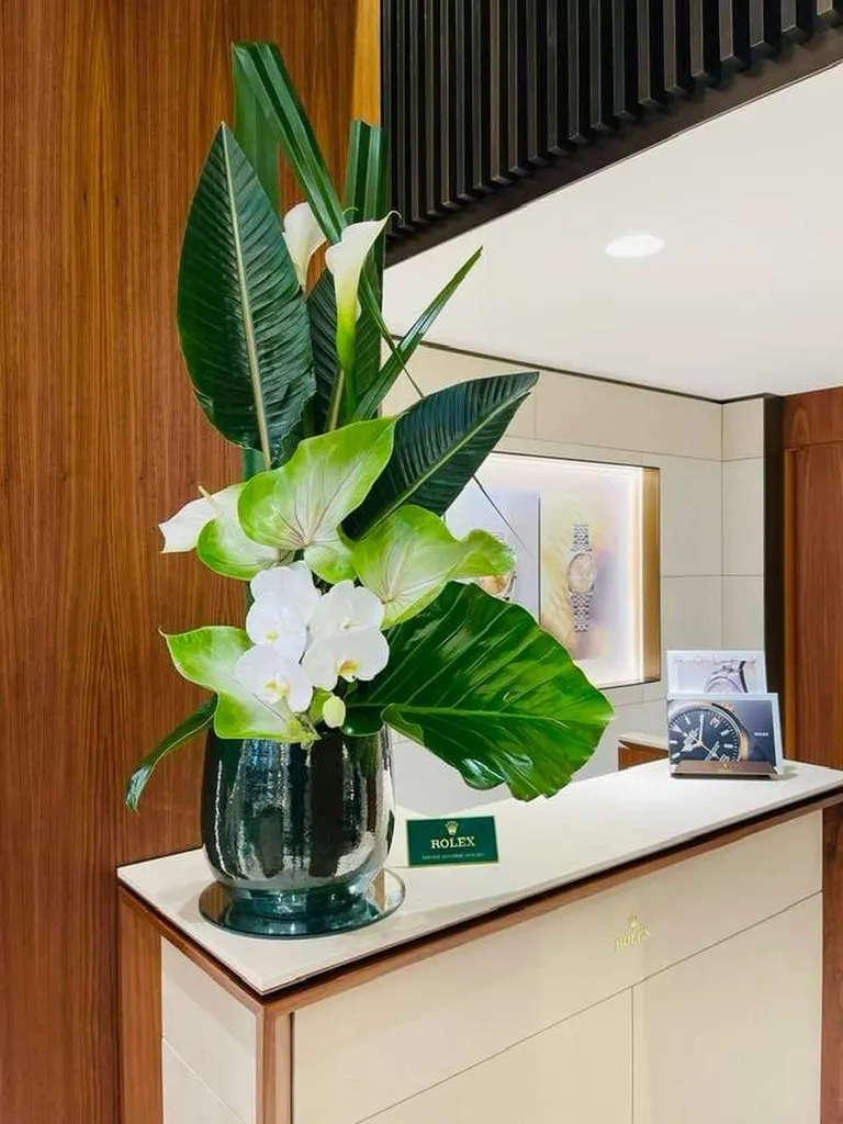 Entretien des plantes vertes et fleurs en composition sur la banque d'accueil de la boutique Rolex à Lyon
