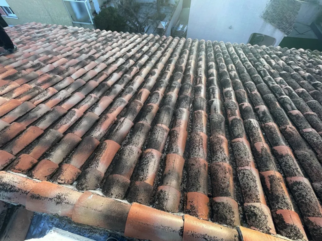 Intervention de couvreur pour un nettoyage de tuiles de toiture de maison près de Martigues 