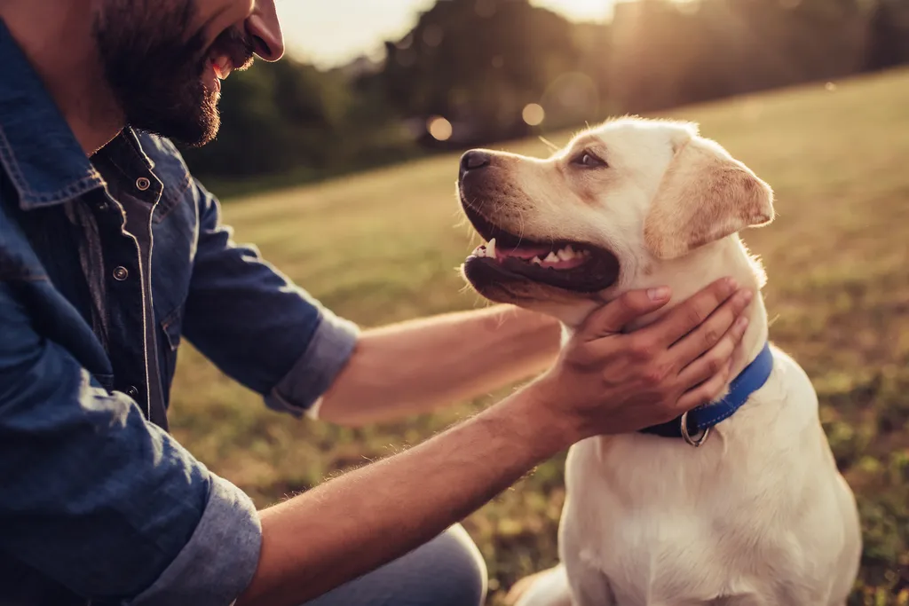 Un service de garde d’animaux à domicile, en toute sérénité