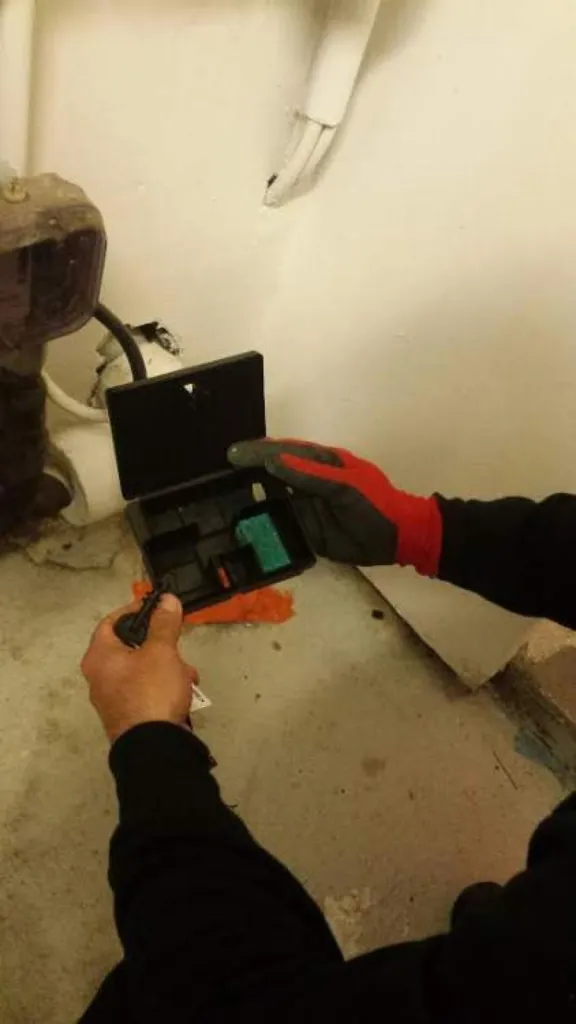 Dératisation de bureaux et locaux professionnel à vitrolles estroublant 13