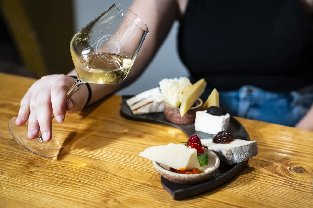 Cours de dégustation de vins blancs de Loire près de Mérignac : explorez la fraîcheur et la minéralité de cette région viticole