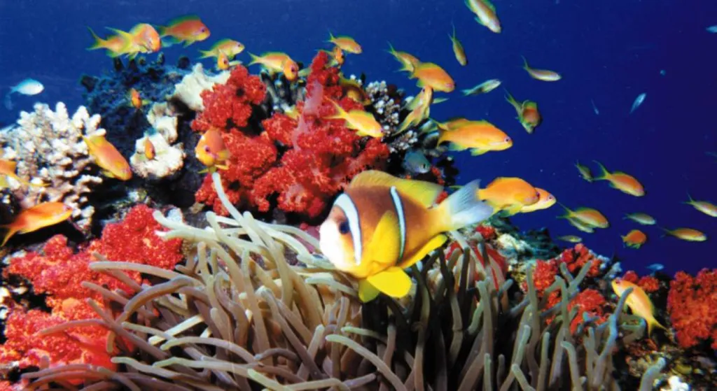 Guide de voyage pour la Jordanie