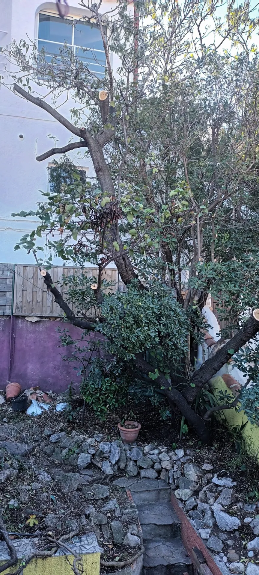 Défrichage pour travaux. 