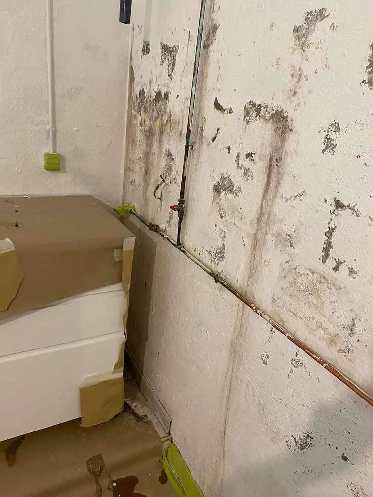 rafraîchissement, peinture garage sous sol à rouen