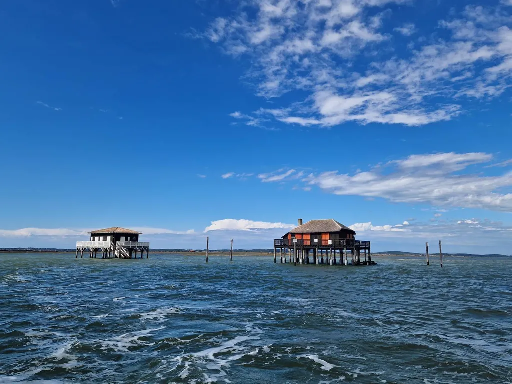 balade ile aux oiseaux et cabane tchanques en bateau privé