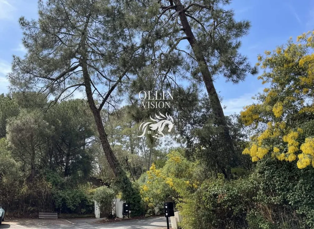 Maison contemporaine de 170 m² au cœur d’un environnement naturel privilégié – Pyla-sur-Mer