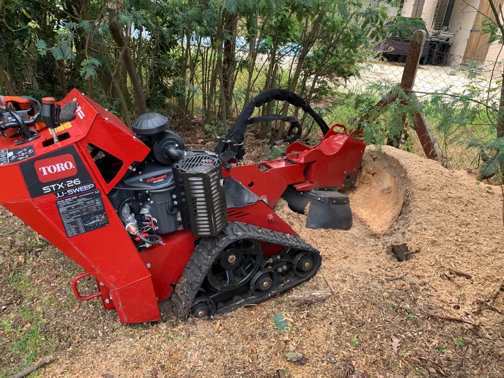 Grignotage de souche à Biscarrosse