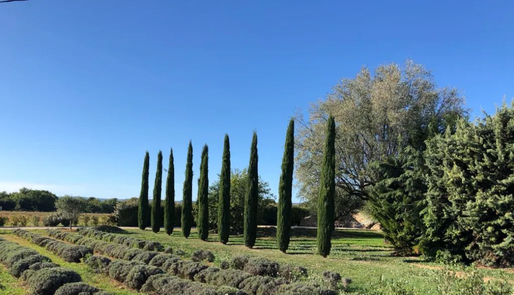 Rénovation de qualité d'un bastidon de hameau à Roussillon en Luberon