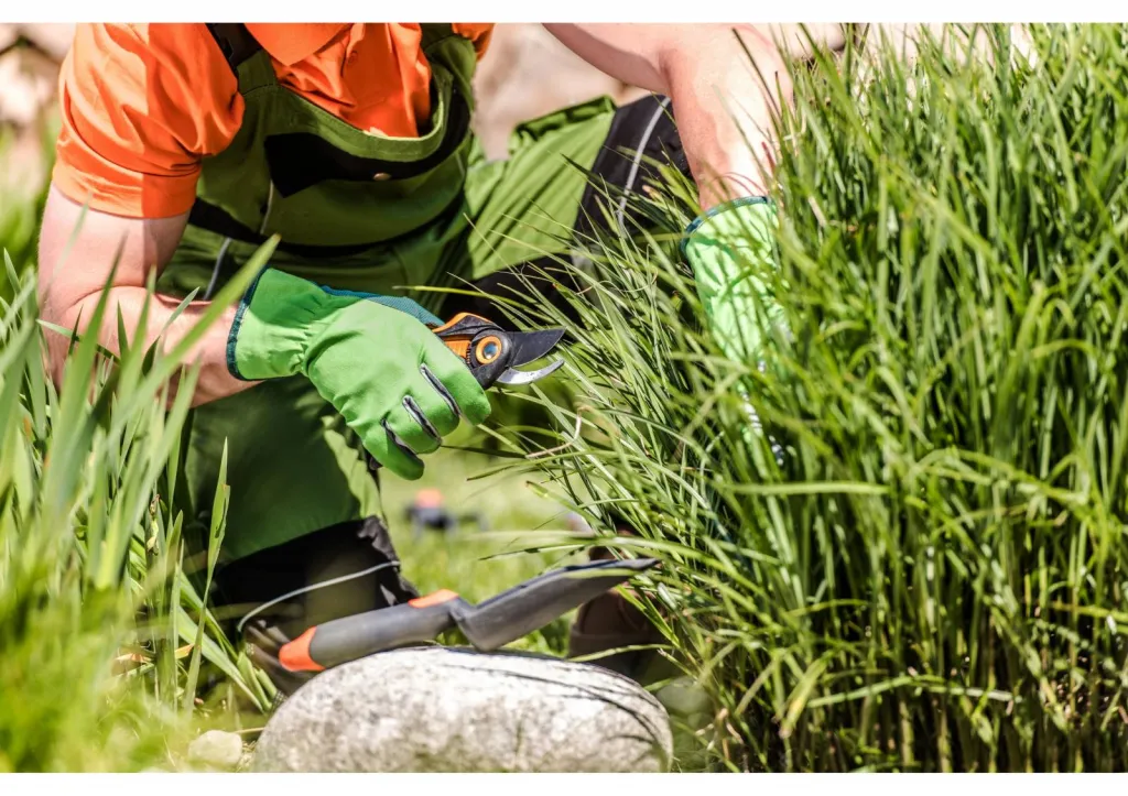 Notre zone d'activité pour ce serviceEntretien d'espaces verts professionnels